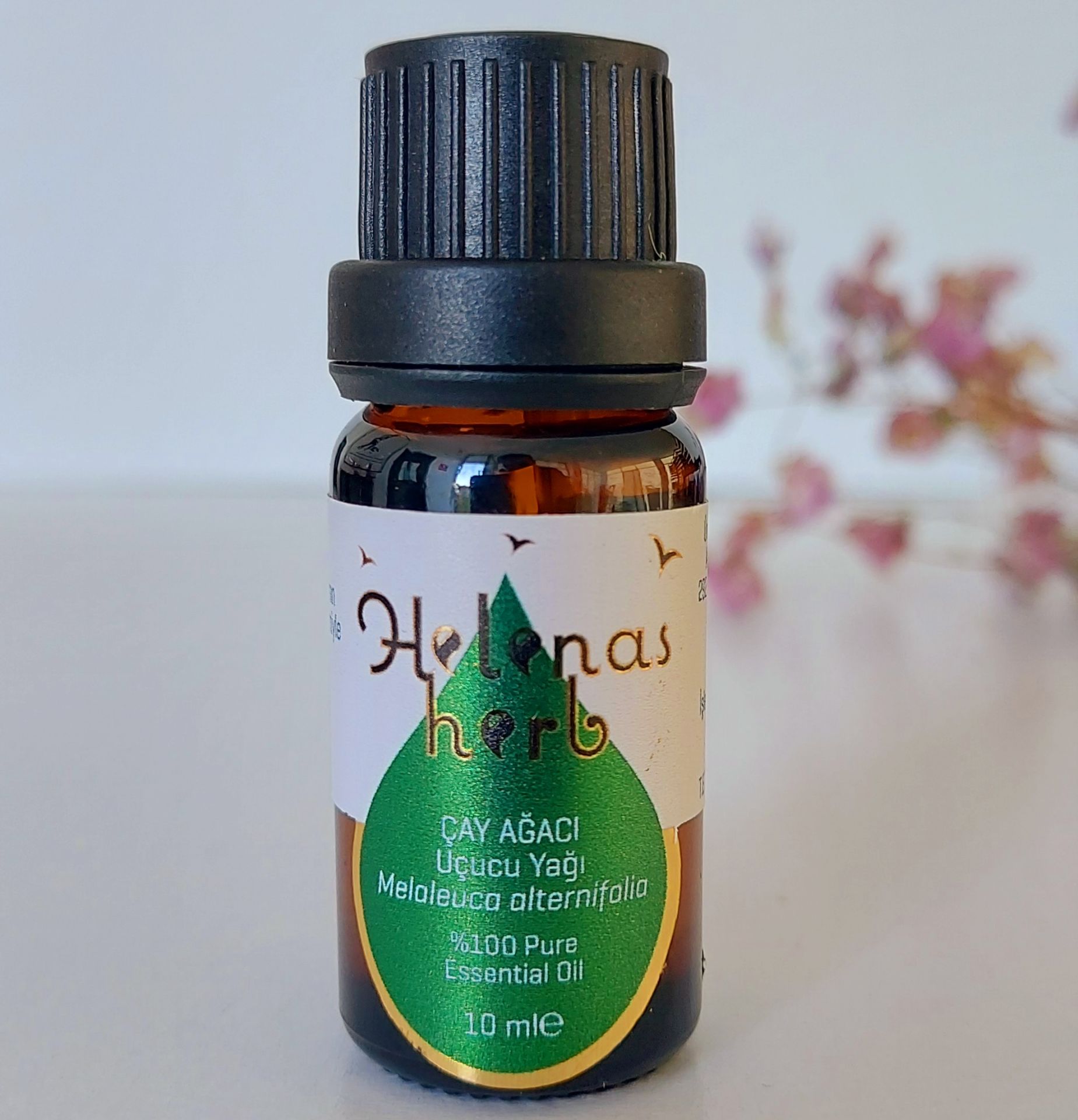 Çay ağacı uçucu yağı